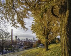 richmond photo print of libbie hill in the fall by Dave Parrish Photography
