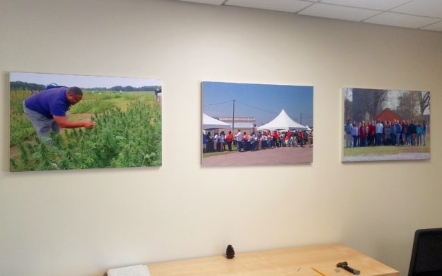 agriculture room art