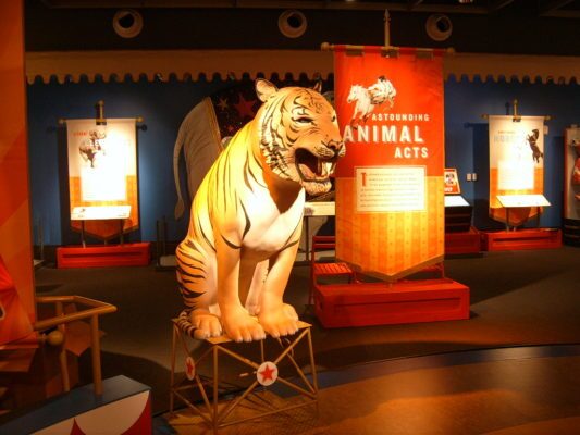 printed exhibit displays