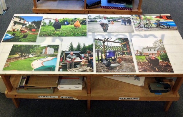 farm homestead photos