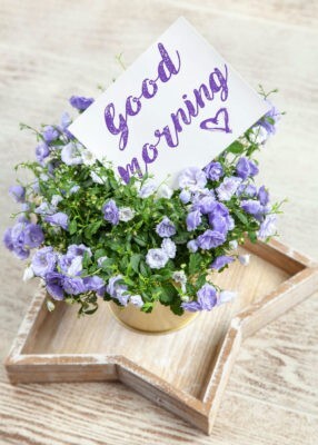 custom greeting card