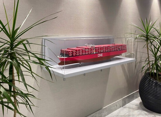 custom acrylic display case collection