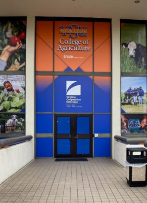 custom printed installed window graphics wall mural design lobby decor installation for business university