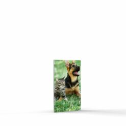 3x5 foam board photo tile portrait format