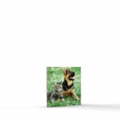 4x4 wall photo tile on foam core board