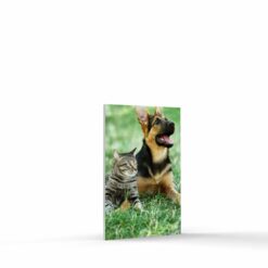 4x6 photo tile for wall portrait format