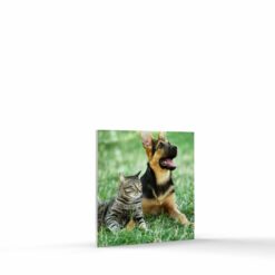 5x5 photo tile on foam board