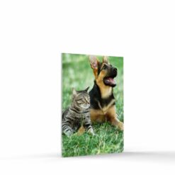 5x7 photo tile on foam board portrait format
