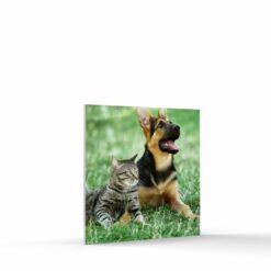 6x6 photo tile on foam core