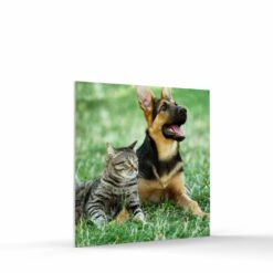 7x7 photo tile on foamcore