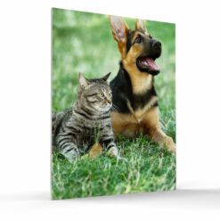 8x8 foamcore wall photo portrait format