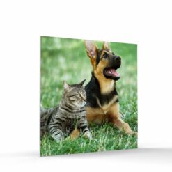 8x8 foam board photo tile for wall